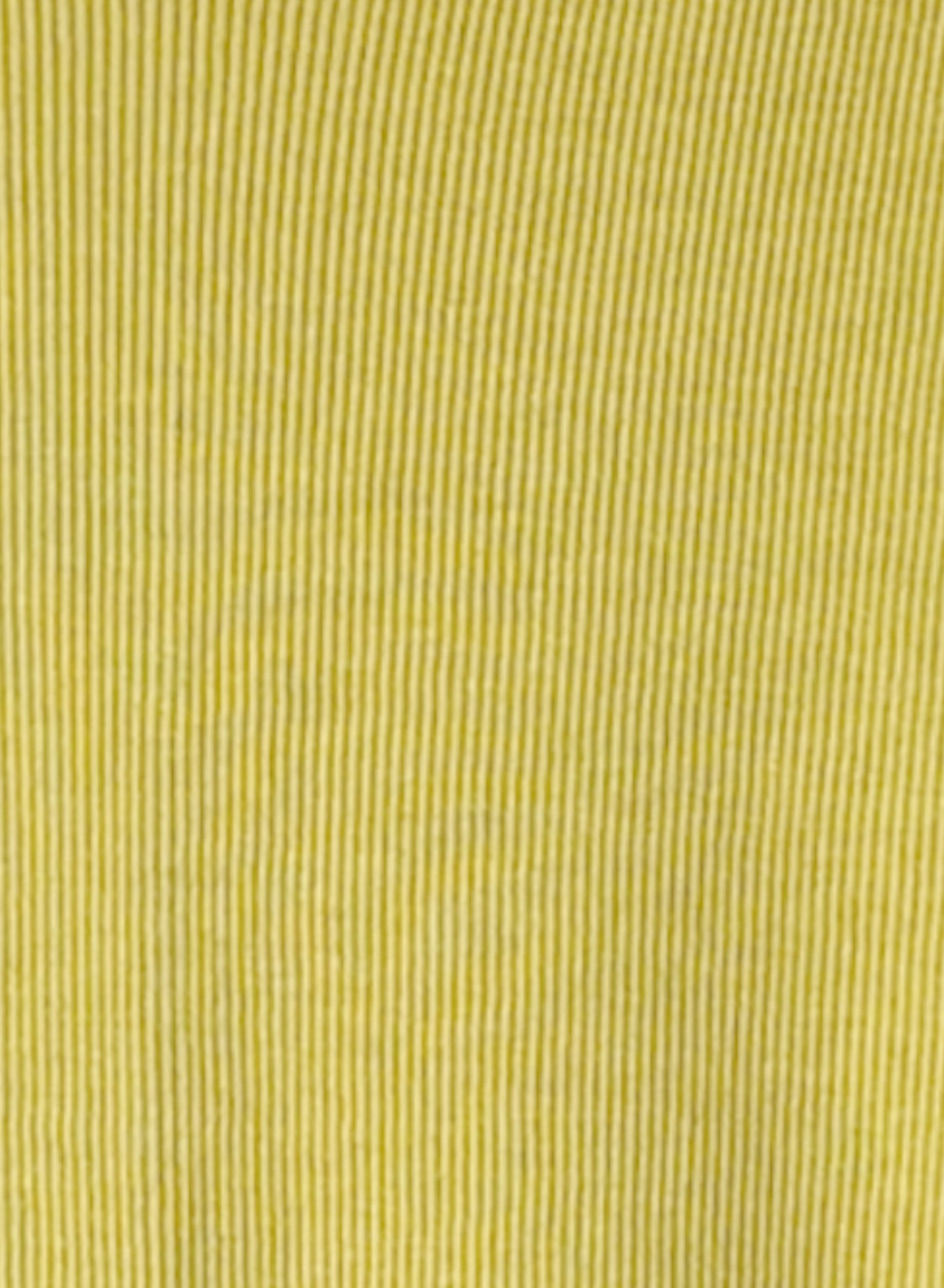 Cotton Cashmere Rib, LS CREW, #392662, 90%cotton 10%cashmere, GOLD